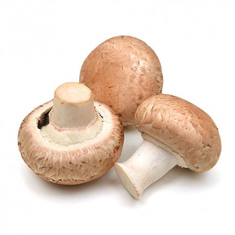 Champignon De Paris Mushrooms