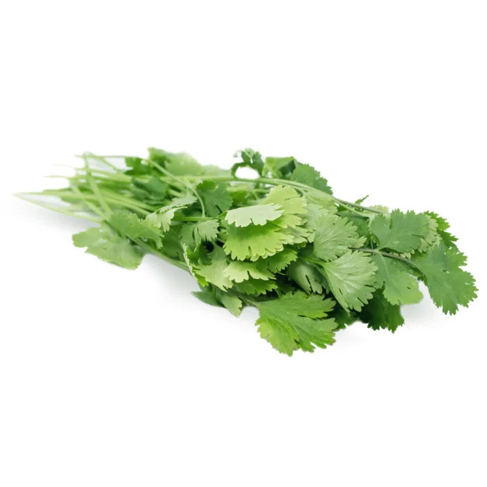 Fresh Coriander-1x20 Bunches