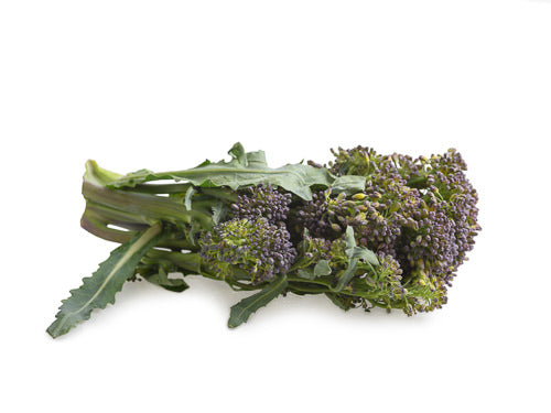 Purple Tenderstem Broccoli