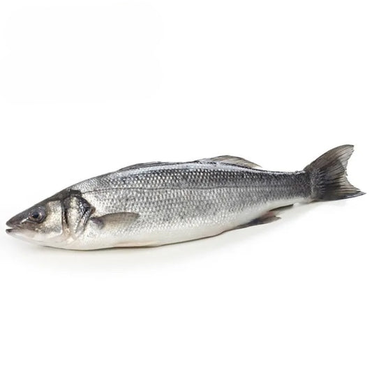 Aquafish IQF Whole Sea Bass Gilled & Gutted (300-400g)-1x1kg