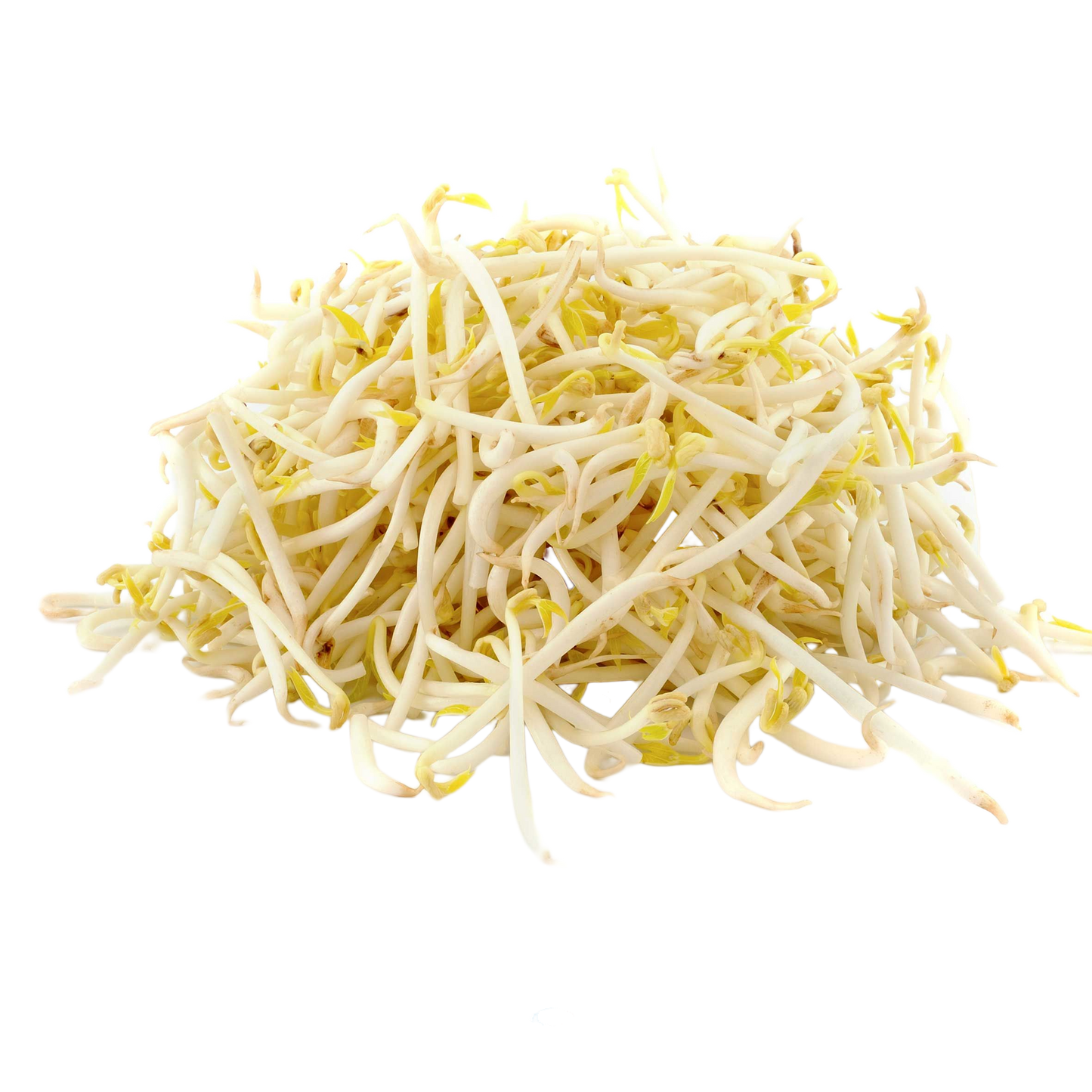 Fresh Bean Sprouts 1x4kg