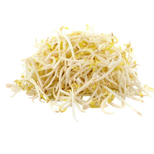 Fresh Bean Sprouts 1x4kg