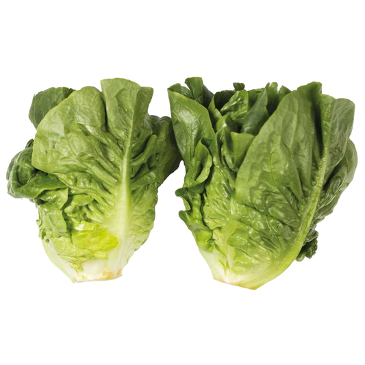 Little Gem Lettuce (Twin Pack) 1x5