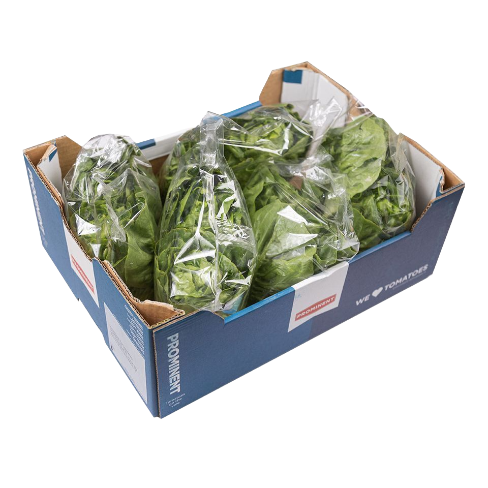 Little Gems, Cute, little baby romaine lettuce. (€ 2,75 for…