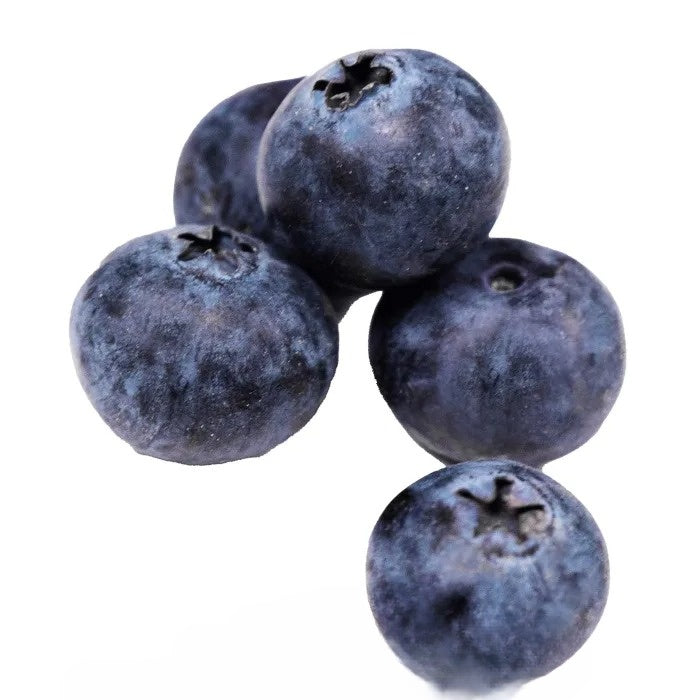 Fresh Blueberries-6x125g