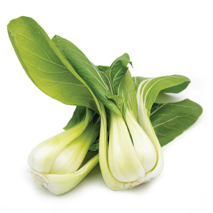 Fresh Pak Choi-1x10