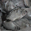 Frozen Tilapia Fish 500-800 (Gutted & Scaled) 2.5kg