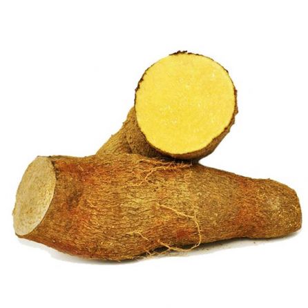 Yam Yellow Shipping by Congo Tropicals