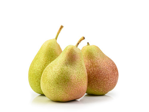 Vermont Beauty Pear