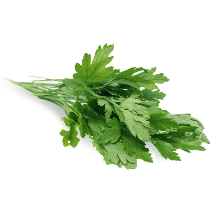 Fresh Flat Leaf Parsley-1x20 Bunches