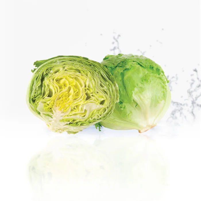 Iceberg Lettuce-1x(10-12)