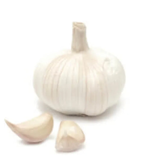 Fresh Garlic-1x4kg