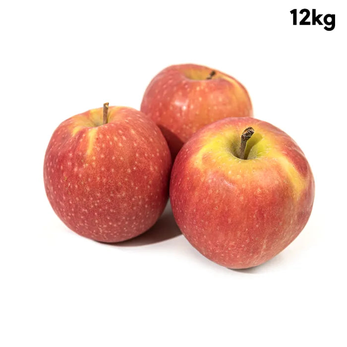 Pink Lady Apples-1x12kg