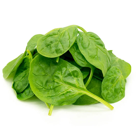 Fresh Spinach Leaves-5x200g